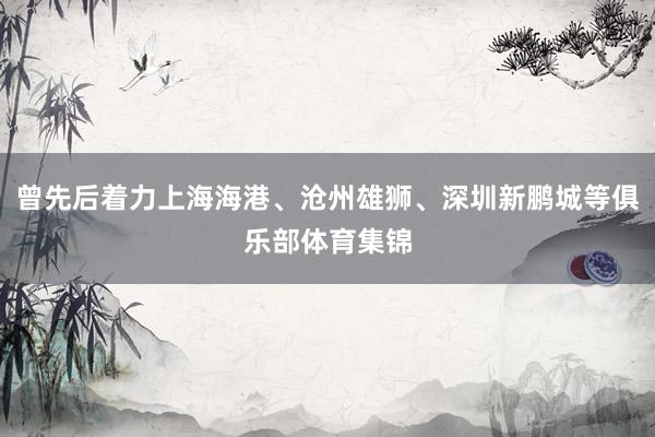 曾先后着力上海海港、沧州雄狮、深圳新鹏城等俱乐部体育集锦