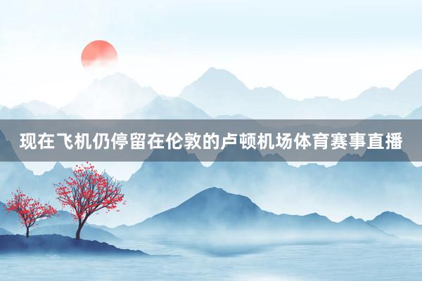 现在飞机仍停留在伦敦的卢顿机场体育赛事直播