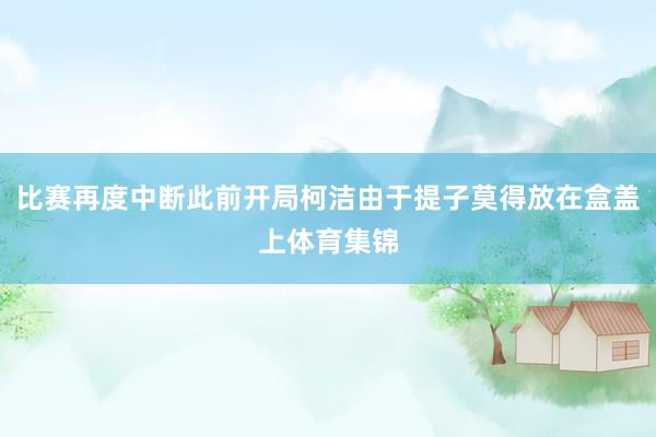 比赛再度中断此前开局柯洁由于提子莫得放在盒盖上体育集锦