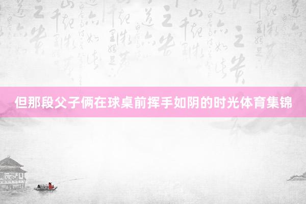 但那段父子俩在球桌前挥手如阴的时光体育集锦