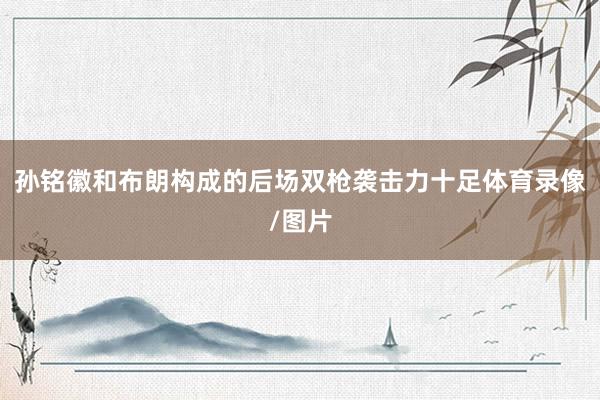 孙铭徽和布朗构成的后场双枪袭击力十足体育录像/图片