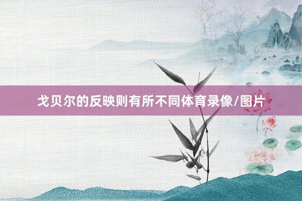 戈贝尔的反映则有所不同体育录像/图片