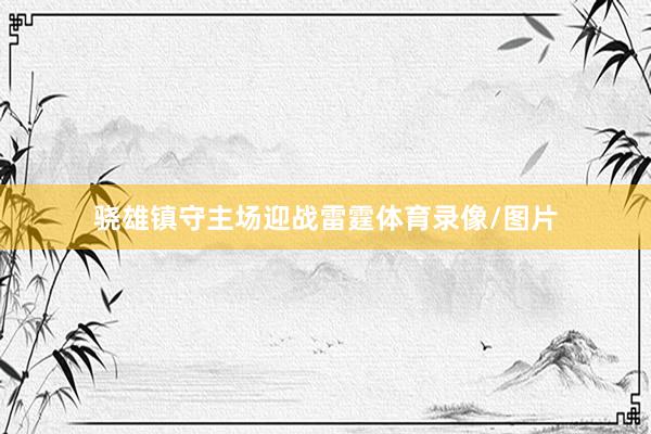 骁雄镇守主场迎战雷霆体育录像/图片