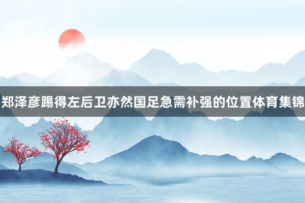 郑泽彦踢得左后卫亦然国足急需补强的位置体育集锦