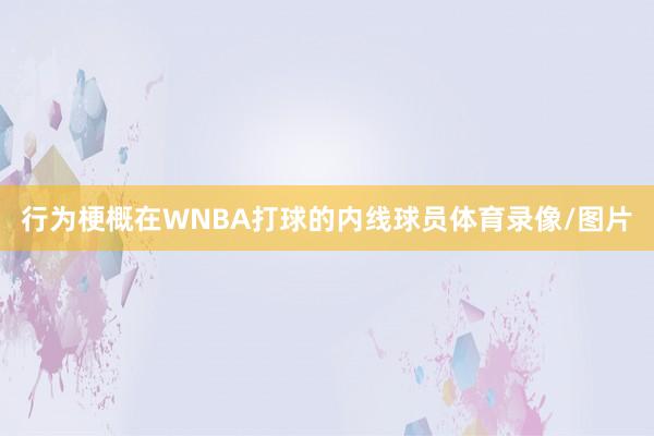 行为梗概在WNBA打球的内线球员体育录像/图片