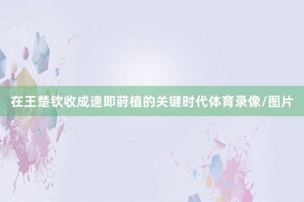 在王楚钦收成速即莳植的关键时代体育录像/图片