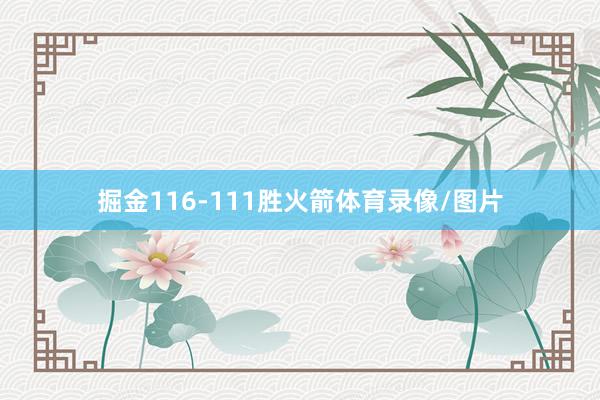 掘金116-111胜火箭体育录像/图片