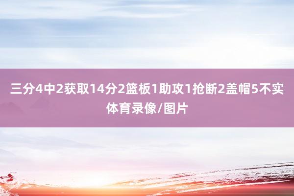 三分4中2获取14分2篮板1助攻1抢断2盖帽5不实体育录像/图片