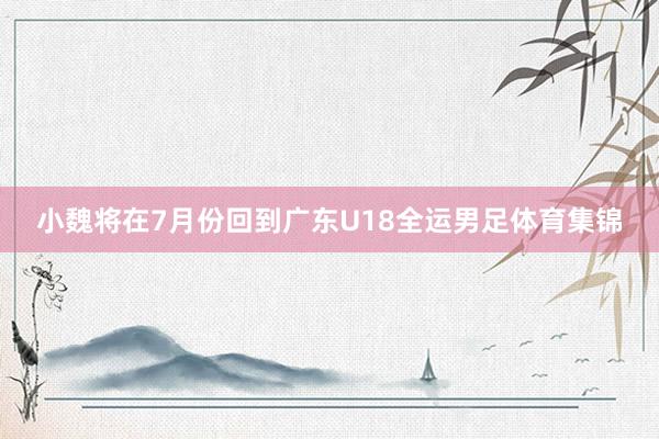 小魏将在7月份回到广东U18全运男足体育集锦