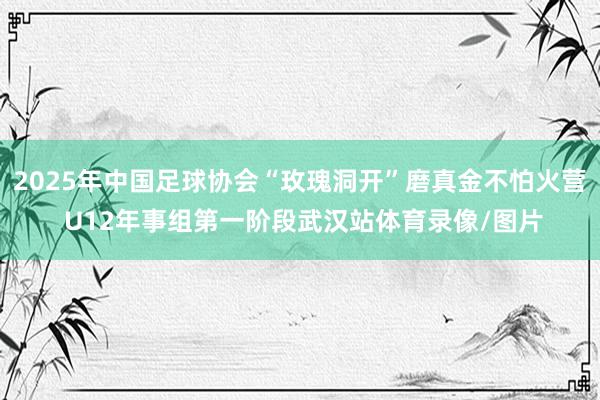 2025年中国足球协会“玫瑰洞开”磨真金不怕火营 U12年事组第一阶段武汉站体育录像/图片