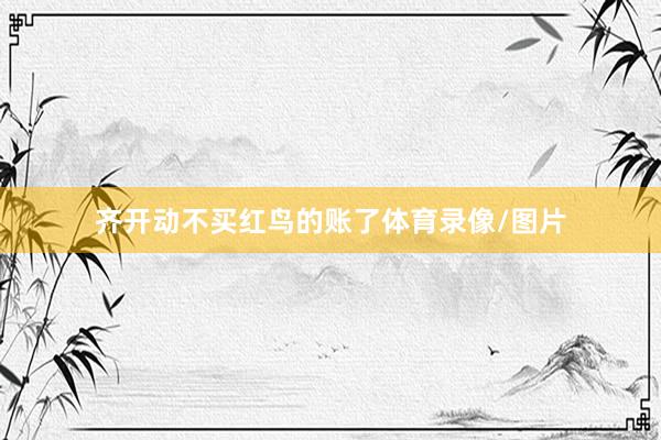 齐开动不买红鸟的账了体育录像/图片