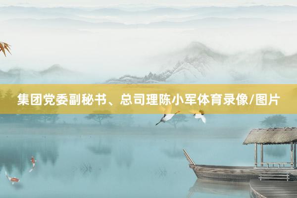 集团党委副秘书、总司理陈小军体育录像/图片