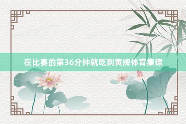 在比赛的第36分钟就吃到黄牌体育集锦