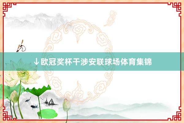 ↓欧冠奖杯干涉安联球场体育集锦