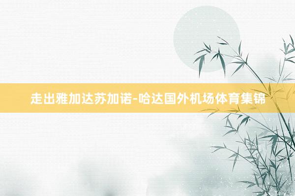 走出雅加达苏加诺-哈达国外机场体育集锦