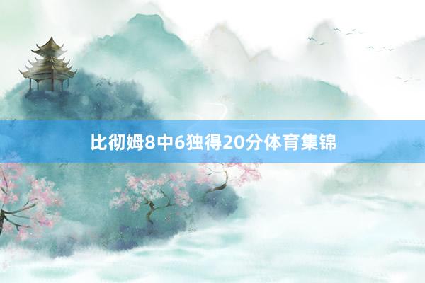 比彻姆8中6独得20分体育集锦