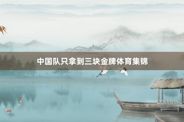 中国队只拿到三块金牌体育集锦