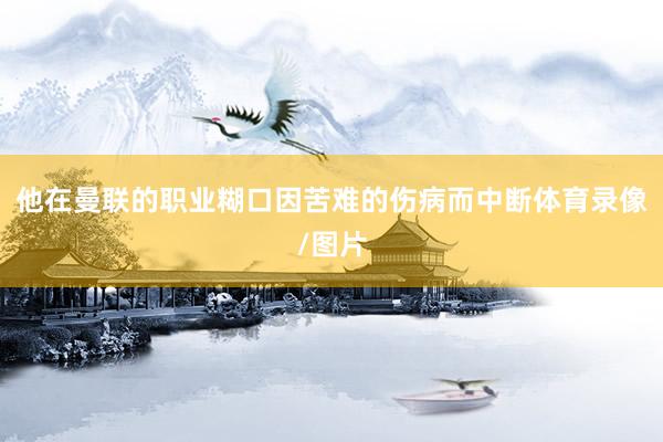 他在曼联的职业糊口因苦难的伤病而中断体育录像/图片
