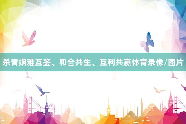 杀青娴雅互鉴、和合共生、互利共赢体育录像/图片