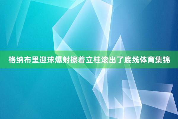 格纳布里迎球爆射擦着立柱滚出了底线体育集锦