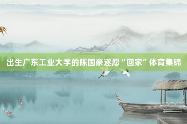 出生广东工业大学的陈国豪遂愿“回家”体育集锦
