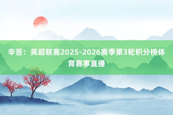 辛苦：英超联赛2025-2026赛季第3轮积分榜体育赛事直播
