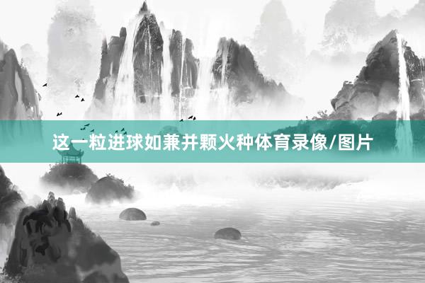 这一粒进球如兼并颗火种体育录像/图片