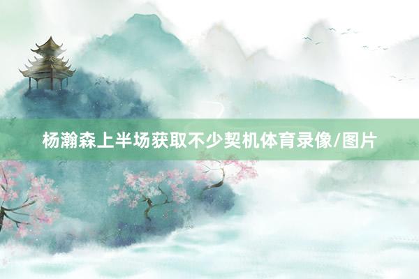 杨瀚森上半场获取不少契机体育录像/图片