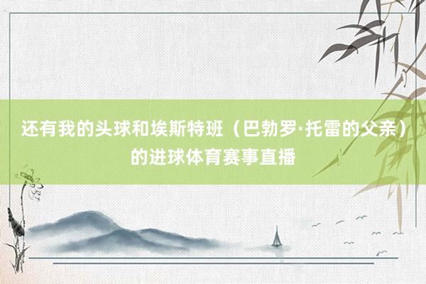 还有我的头球和埃斯特班（巴勃罗·托雷的父亲）的进球体育赛事直播