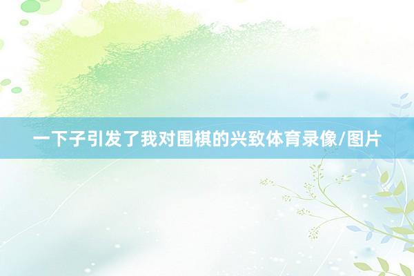 一下子引发了我对围棋的兴致体育录像/图片