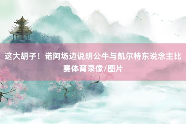 这大胡子！诺阿场边说明公牛与凯尔特东说念主比赛体育录像/图片