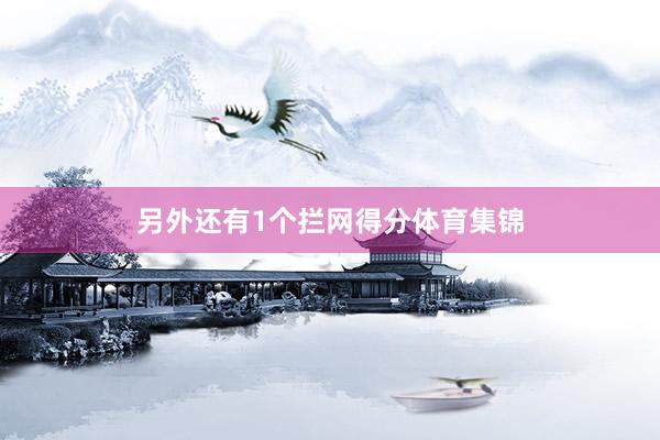 另外还有1个拦网得分体育集锦