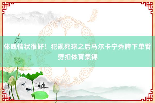 体魄情状很好！犯规死球之后马尔卡宁秀胯下单臂劈扣体育集锦