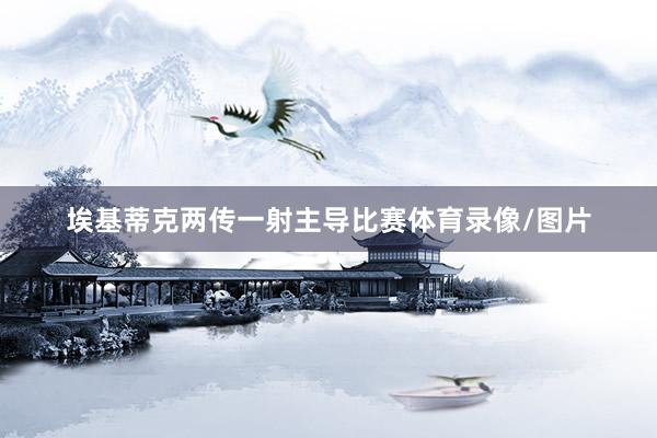 埃基蒂克两传一射主导比赛体育录像/图片