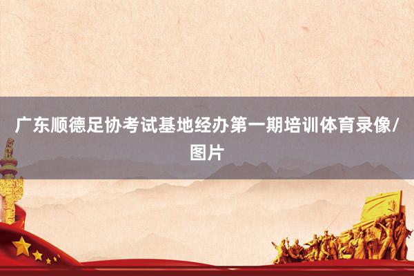 广东顺德足协考试基地经办第一期培训体育录像/图片