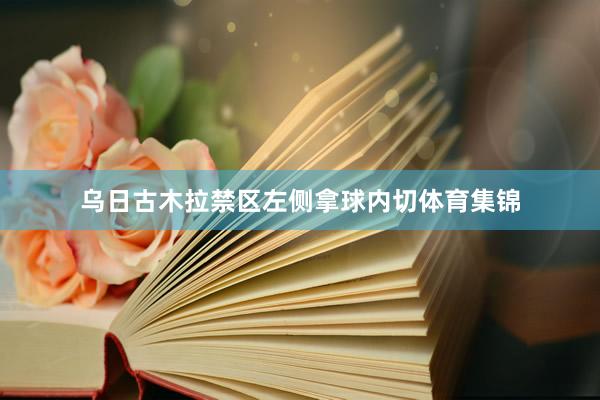 乌日古木拉禁区左侧拿球内切体育集锦