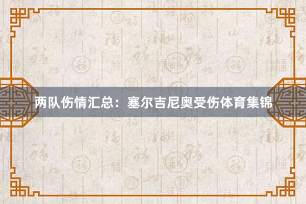 两队伤情汇总：塞尔吉尼奥受伤体育集锦