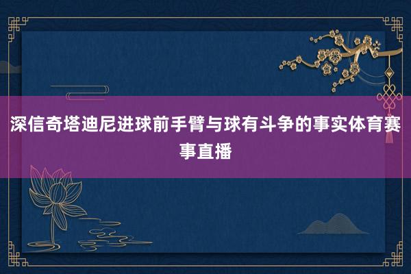 深信奇塔迪尼进球前手臂与球有斗争的事实体育赛事直播