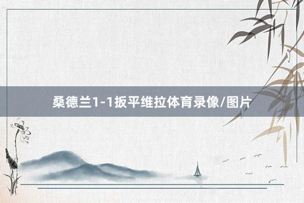 桑德兰1-1扳平维拉体育录像/图片
