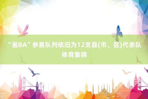 “邕BA”参赛队列依旧为12支县(市、区)代表队体育集锦