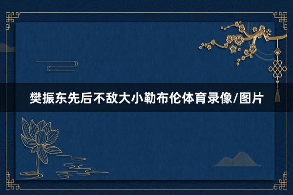 樊振东先后不敌大小勒布伦体育录像/图片